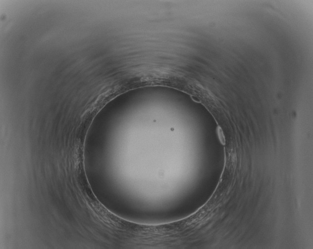 X0000062861012200601201723