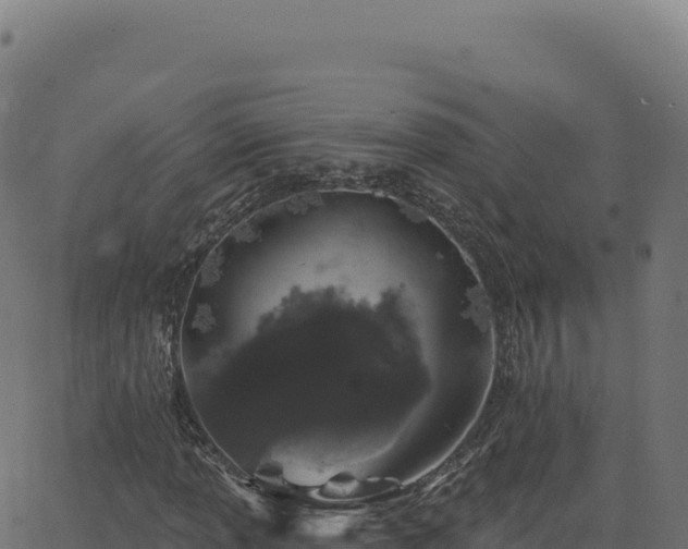 X0000062861013200601201723