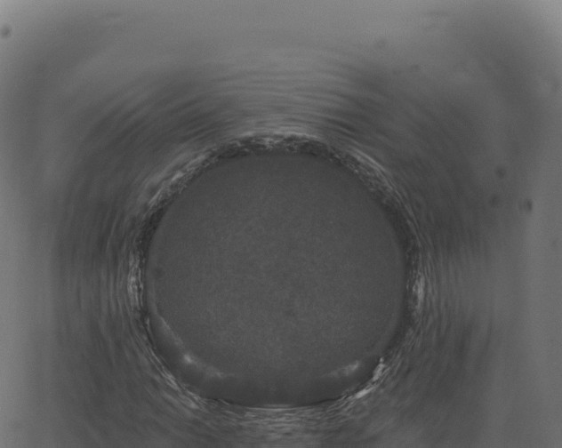 X0000062861014200601201723