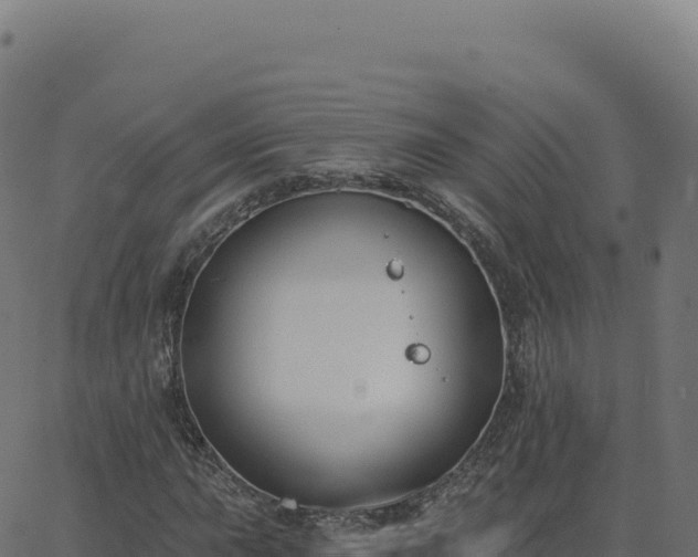 X0000062861015200601201723