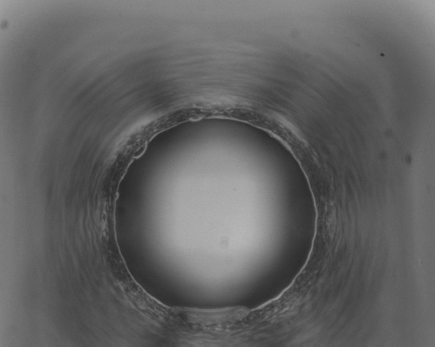 X0000062861016200601201723