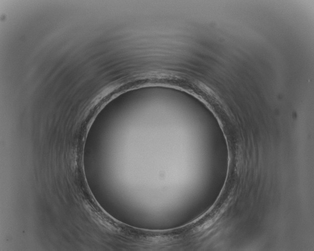 X0000062861017200601201723