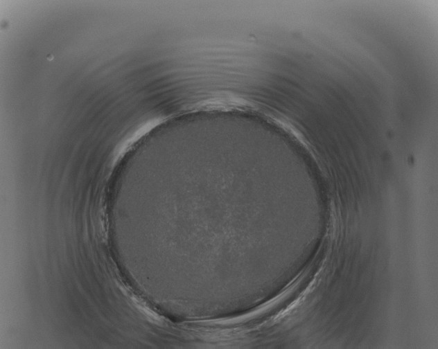 X0000062861018200601201723