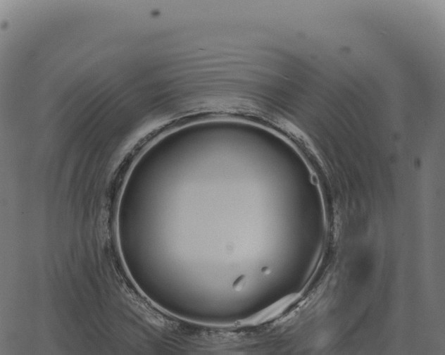 X0000062861019200601201723