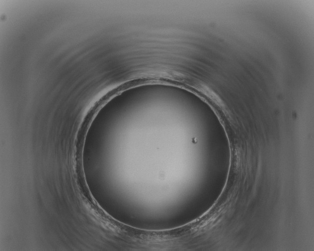 X0000062861020200601201723