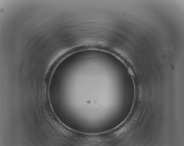 X0000062861021200601201723