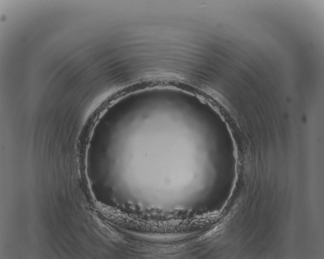 X0000062861022200601201723