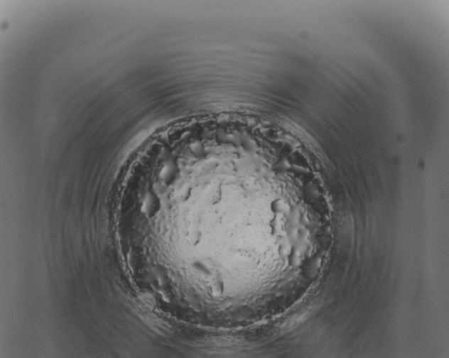 X0000062861023200601201723