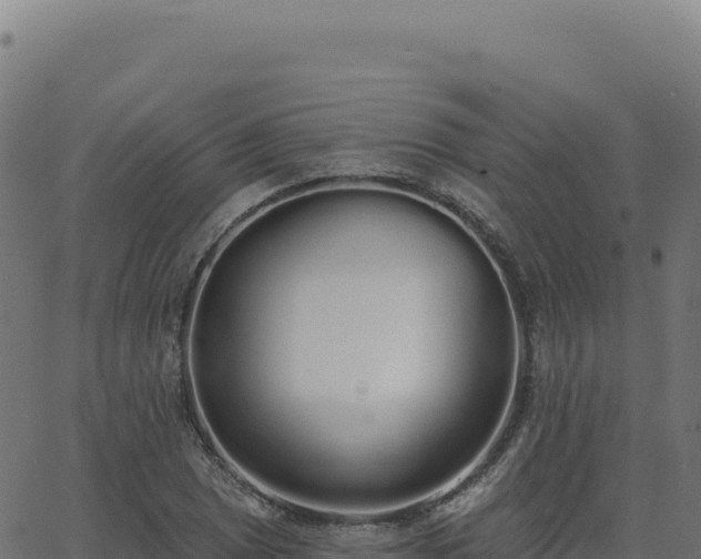 X0000062861025200601201723