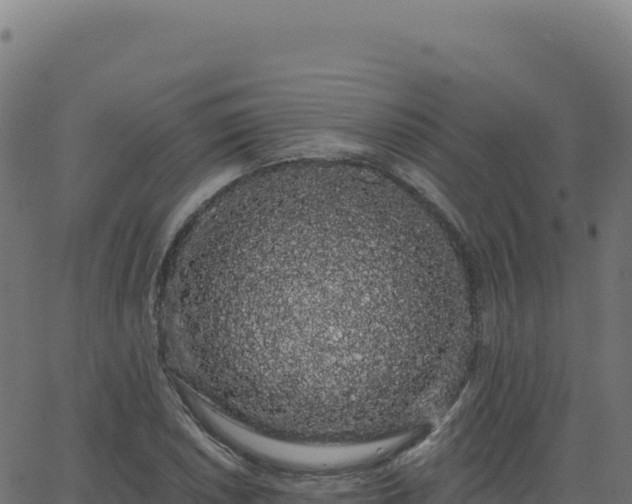 X0000062861026200601201723