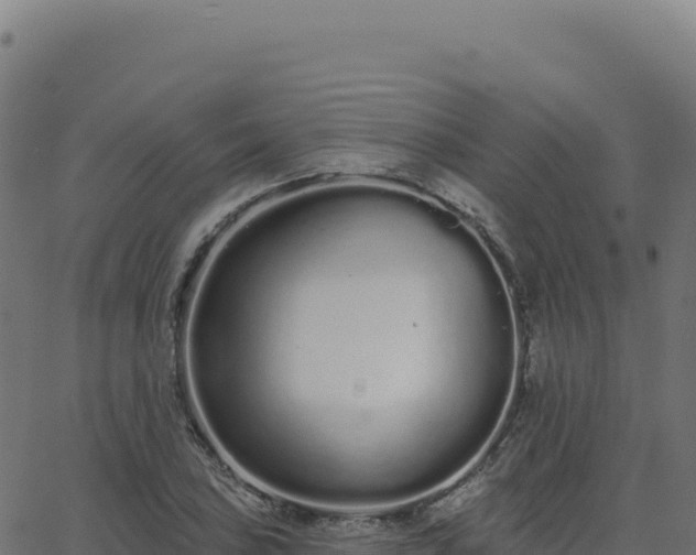 X0000062861027200601201723