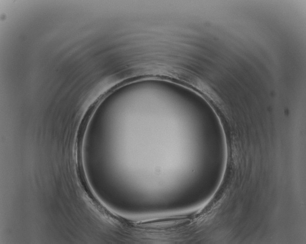 X0000062861028200601201723