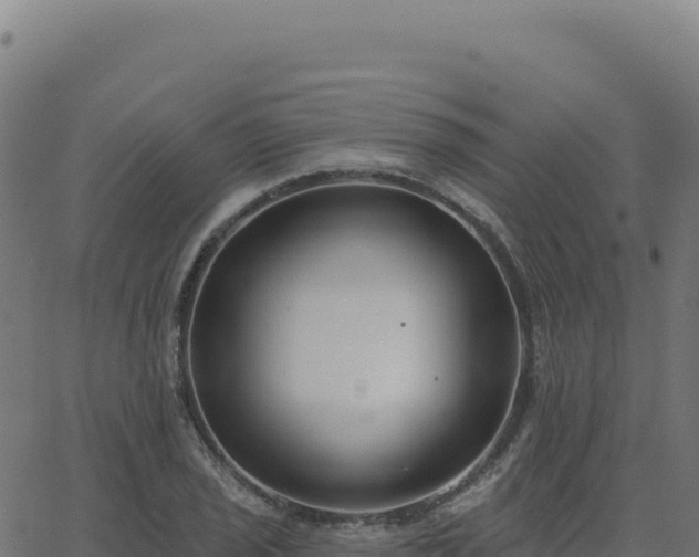 X0000062861029200601201723