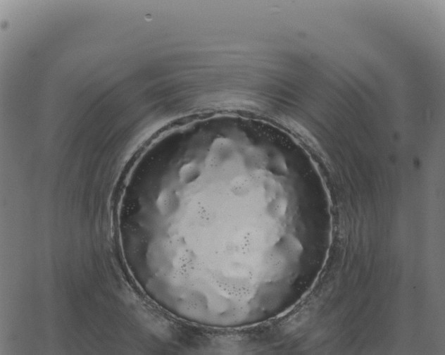 X0000062861031200601201723