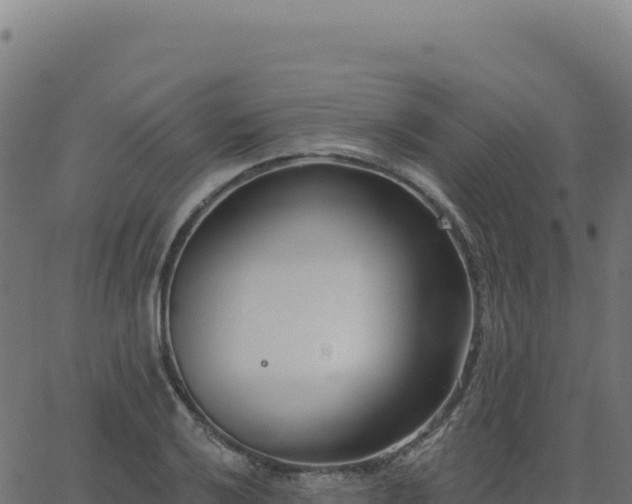 X0000062861032200601201723