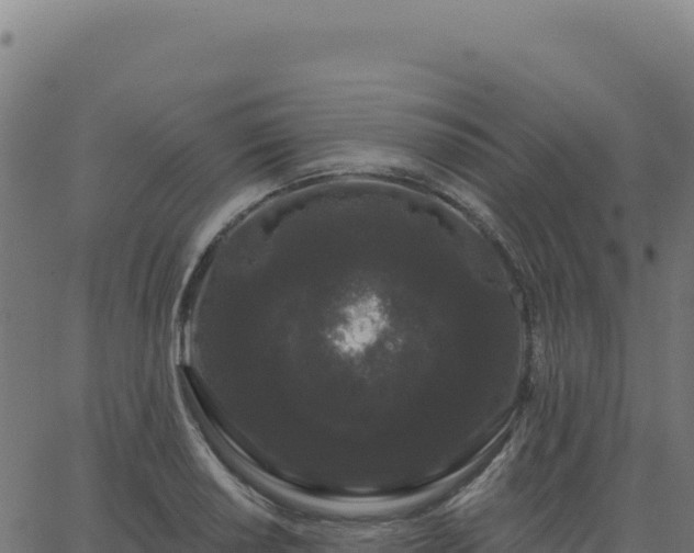 X0000062861034200601201723