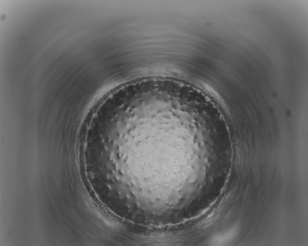 X0000062861035200601201724