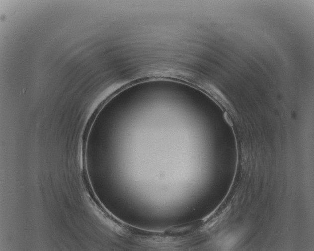 X0000062861036200601201724