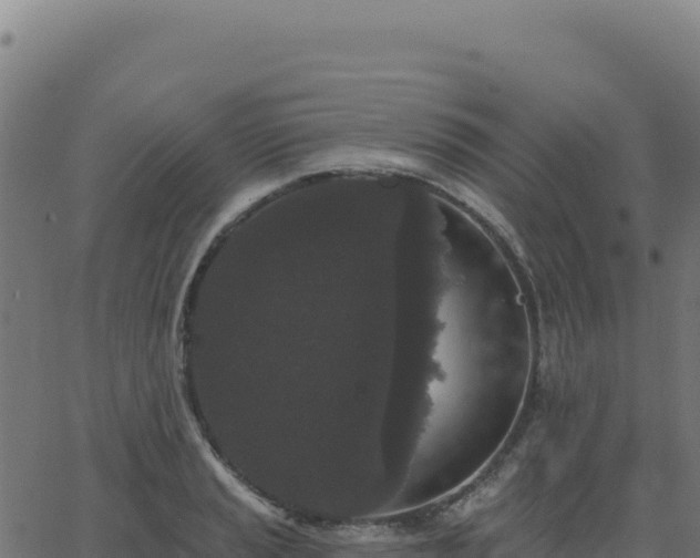 X0000062861037200601201724