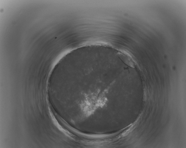 X0000062861038200601201724