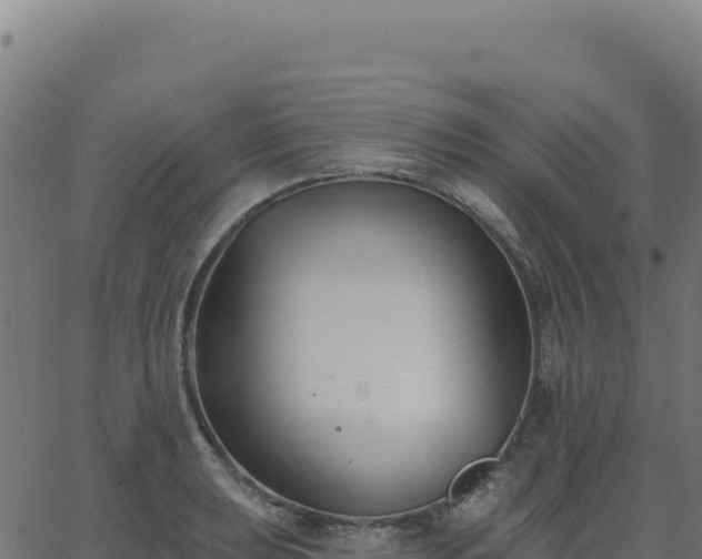 X0000062861039200601201724