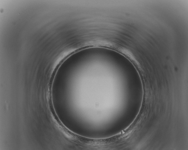 X0000062861040200601201724