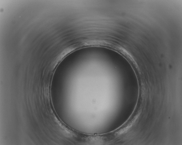 X0000062861041200601201724