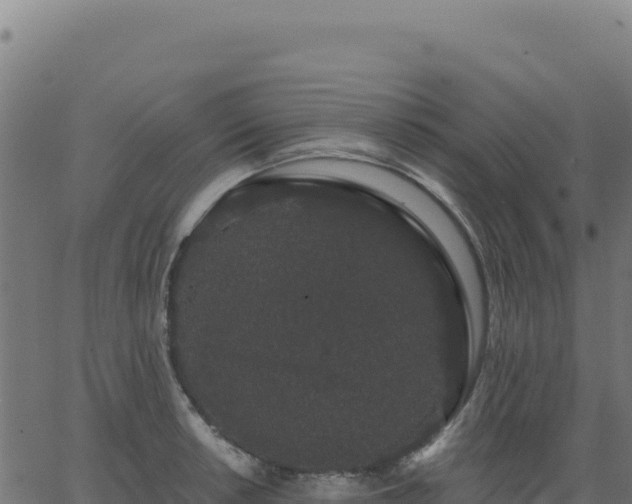 X0000062861042200601201724