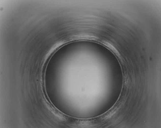 X0000062861043200601201724