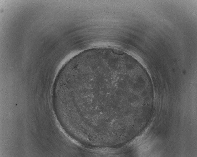 X0000062861045200601201724