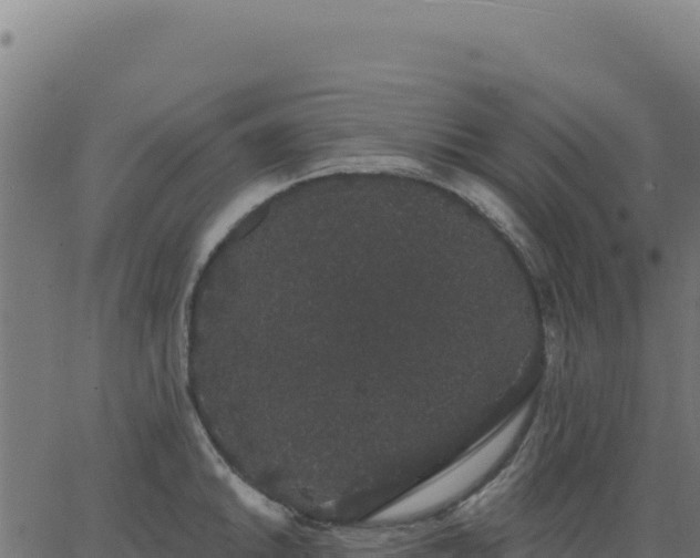 X0000062861046200601201724