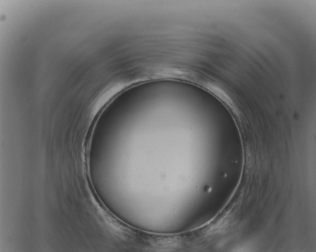 X0000062861047200601201724