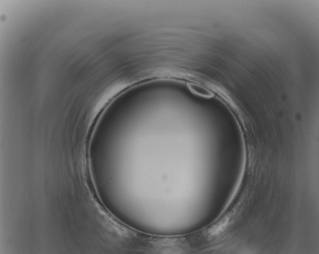 X0000062861048200601201724