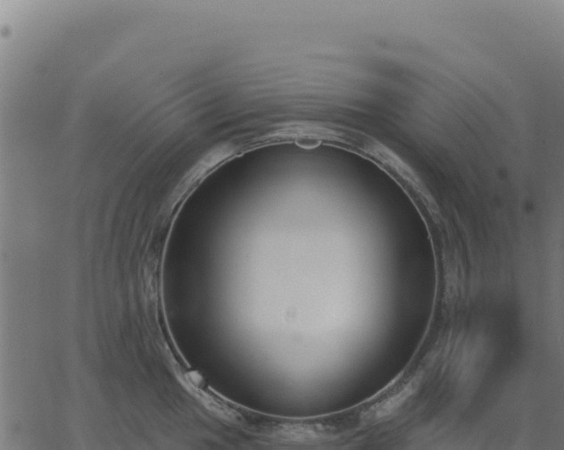 X0000062861049200601201724