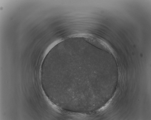 X0000062861050200601201724