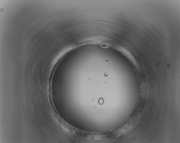 X0000062861051200601201724