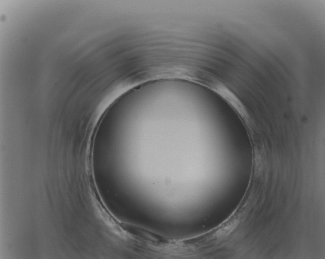 X0000062861052200601201724