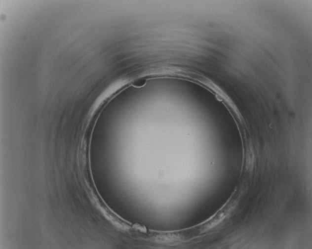 X0000062861053200601201724