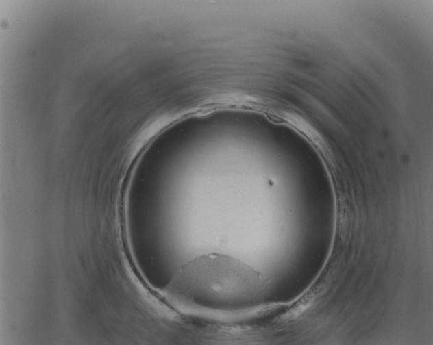 X0000062861055200601201724