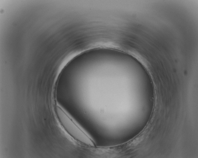 X0000062861056200601201724