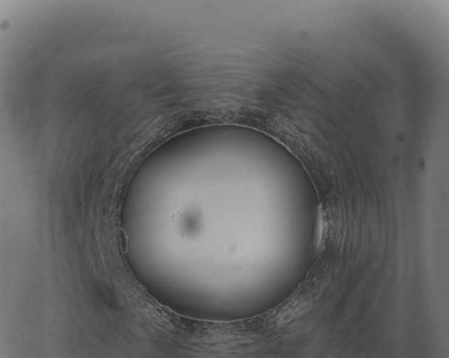 X0000062861057200601201723