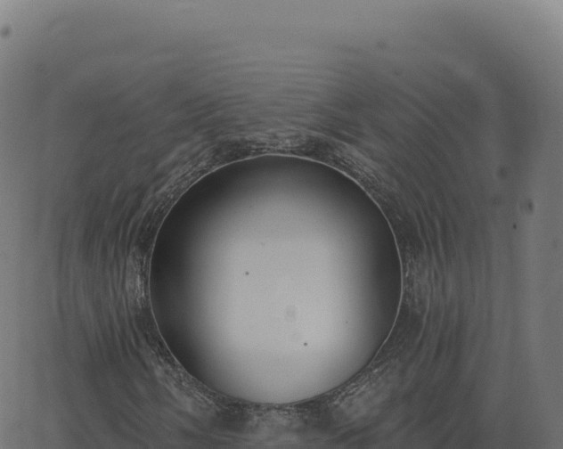 X0000062861058200601201723