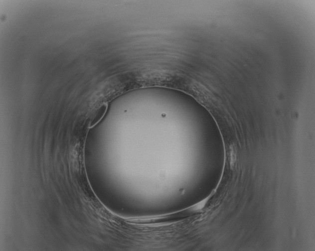 X0000062861059200601201723