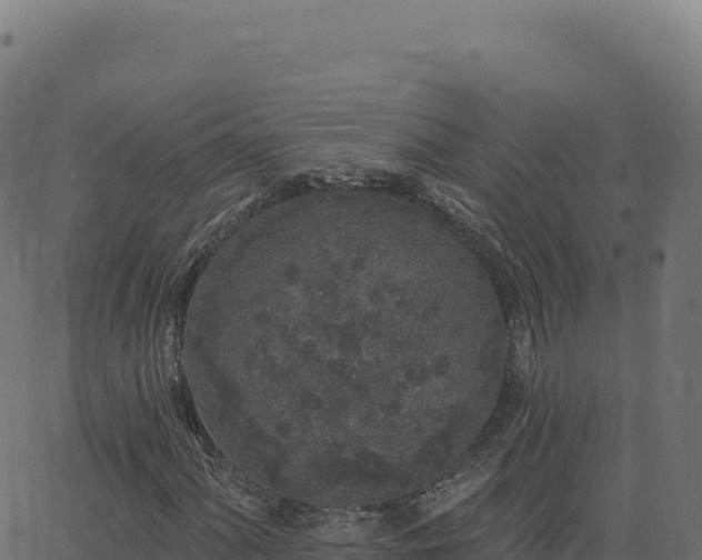 X0000062861060200601201723