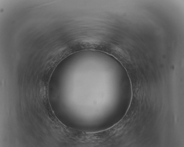 X0000062861061200601201723