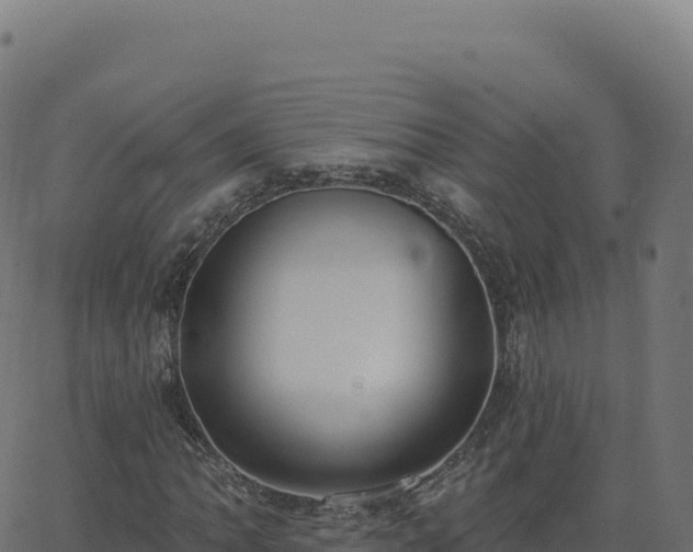 X0000062861062200601201723