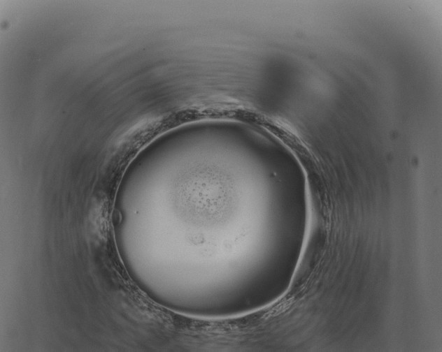 X0000062861063200601201723