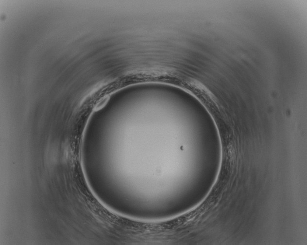 X0000062861064200601201723