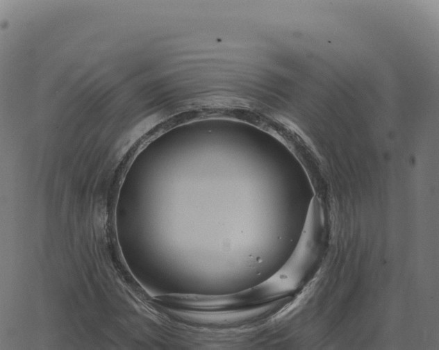 X0000062861065200601201723