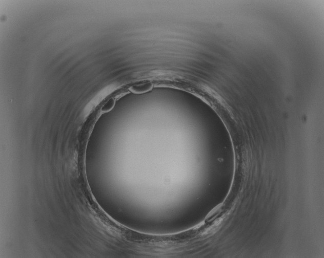 X0000062861066200601201723